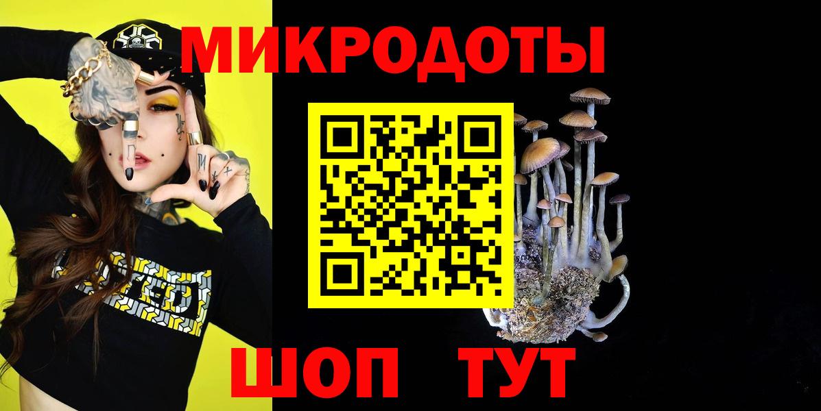 Киржач  Псилоцибиновые грибы MAGIC MUSHROOMS  Вход с VPN  Галлюциногенные грибы Psilocybe 